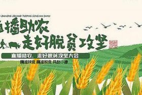 农业电商助力乡村振兴；农村电商推动乡村产业振兴