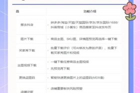 电商小助手是什么意思 - 电商小助手是什么意思啊