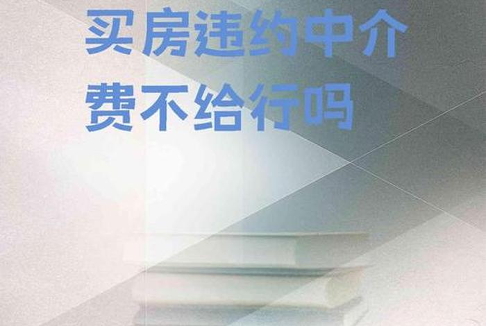 买房电商费是什么意思合法吗;买房的电商费是什么意思 买房电商费是什么意思合法吗;买房的电商费是什么意思