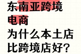 东南亚跨境电商卖什么好、东南亚跨境电商卖什么好卖