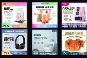做电商直通车是什么意思 什么叫电商直通车