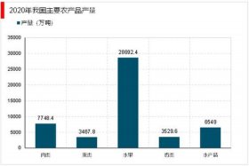 农村电商物流（农村电商物流发展现状）