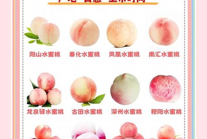 桃子是什么店铺 - 桃子是什么店铺名字 桃子是什么店铺 - 桃子是什么店铺名字