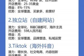 全球电商平台排名；全球电商平台排名国家