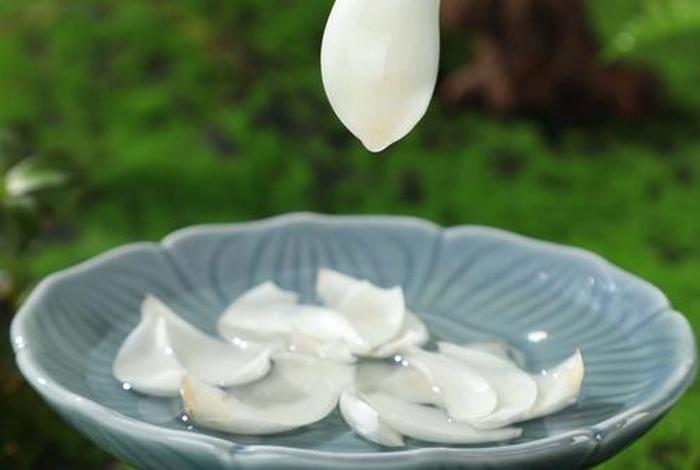 火蝠电商代运营收费多少;火蝠电商代运营收费多少钱一个月 火蝠电商代运营收费多少;火蝠电商代运营收费多少钱一个月