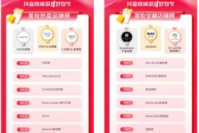 双11电商卖货、电商平台双11