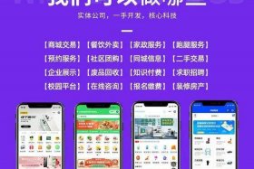 微商城开发价格 微商城开发报价