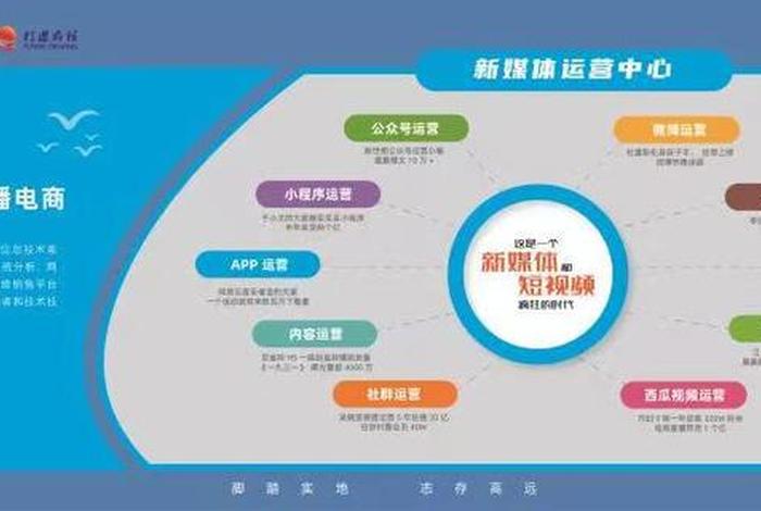 网络营销与直播电商方向 网络营销与直播电商方向的区别 网络营销与直播电商方向 网络营销与直播电商方向的区别