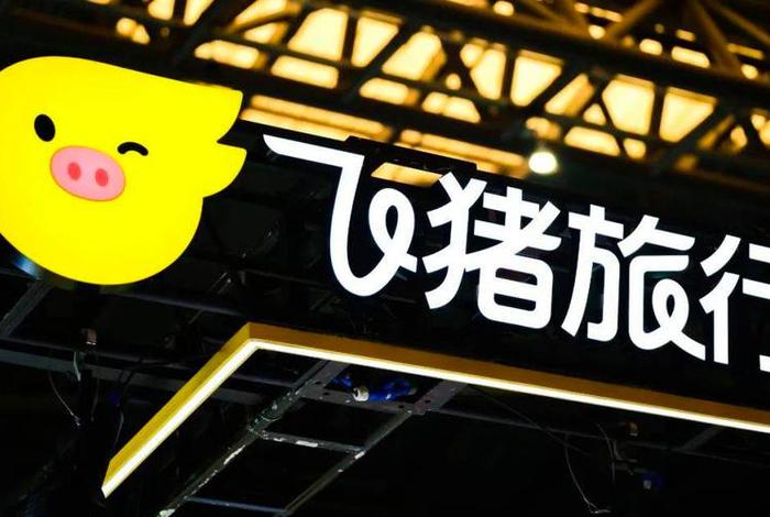 电商股份（电商股份 飞猪）