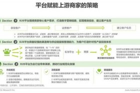 电商b2b平台业务规范性、电商b2b平台业务规范性应用