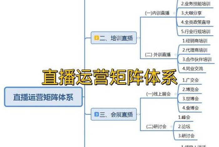直播电商运营流程不包括什么（直播电商运营流程不包括什么内容）