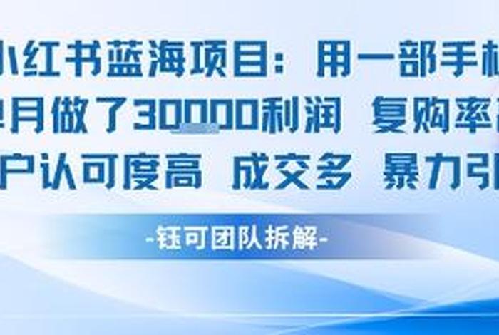 蓝海二类电商是什么意思、电商蓝海项目是什么意思 蓝海二类电商是什么意思、电商蓝海项目是什么意思