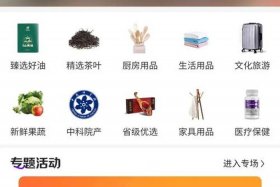 电商平台系统开发（电商平台怎么开发）