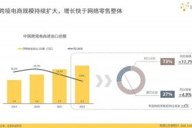 各电商平台流量排名数据趋势图（各电商平台流量排名数据趋势图怎么看）