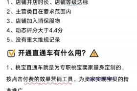 电商怎么开直通车，电商怎么开直通车卖货