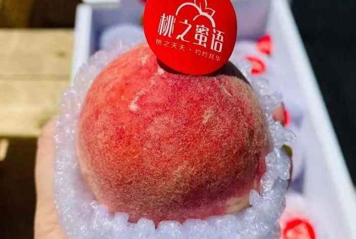 桃子购物网 - 桃子是什么购物平台 桃子购物网 - 桃子是什么购物平台