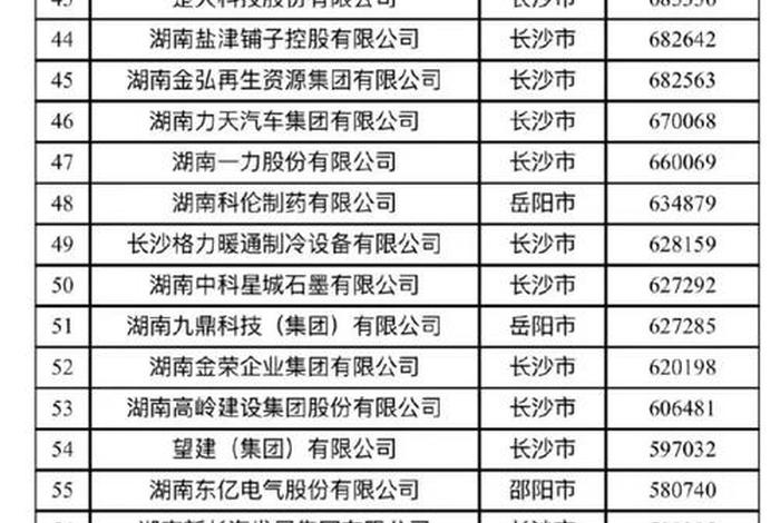 长沙电商企业100强名单 长沙电商企业100强名单公布 长沙电商企业100强名单 长沙电商企业100强名单公布
