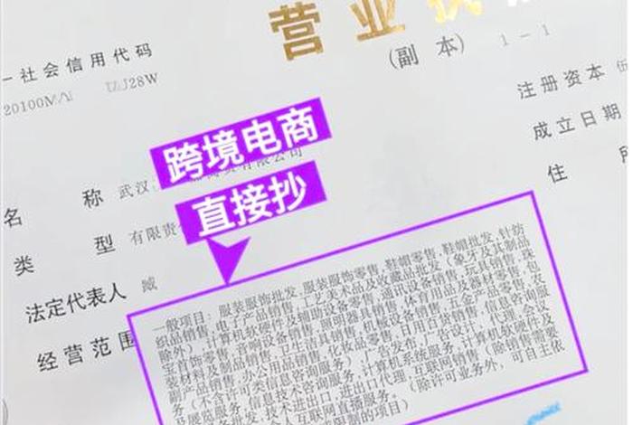 有哪些跨境电商平台个体户注册(有哪些跨境电商平台个体户注册的) 有哪些跨境电商平台个体户注册(有哪些跨境电商平台个体户注册的)