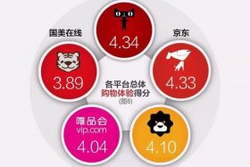 国内电商平台有哪些常用的（国内电商平台有哪些常用的平台）