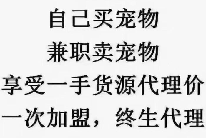 微电商做什么生意好做 - 做微电商需要什么条件 微电商做什么生意好做 - 做微电商需要什么条件