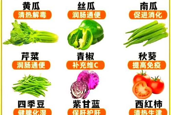 蔬菜电商货和市场货区别、蔬菜电商货和市场货区别是什么 蔬菜电商货和市场货区别、蔬菜电商货和市场货区别是什么