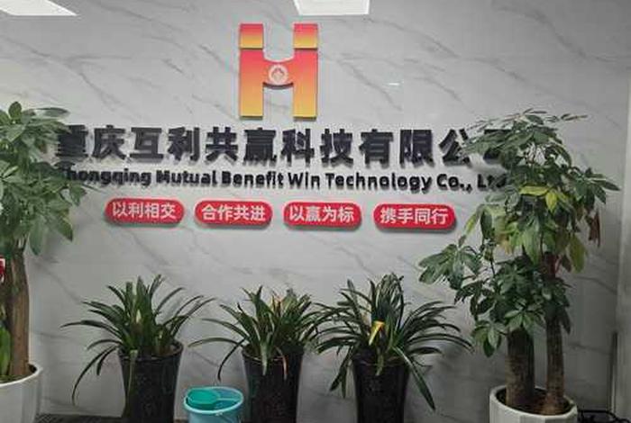 上海代运营电商公司 - 上海代运营电商公司有哪些