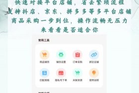 电商商家版软件（电商商家版软件哪个好）