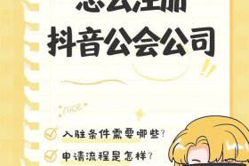 抖音电商入口小组件，抖音电商入口小组件怎么设置