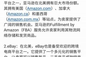 美国电商平台有哪些特征（美国电商平台有哪些特征和优势）