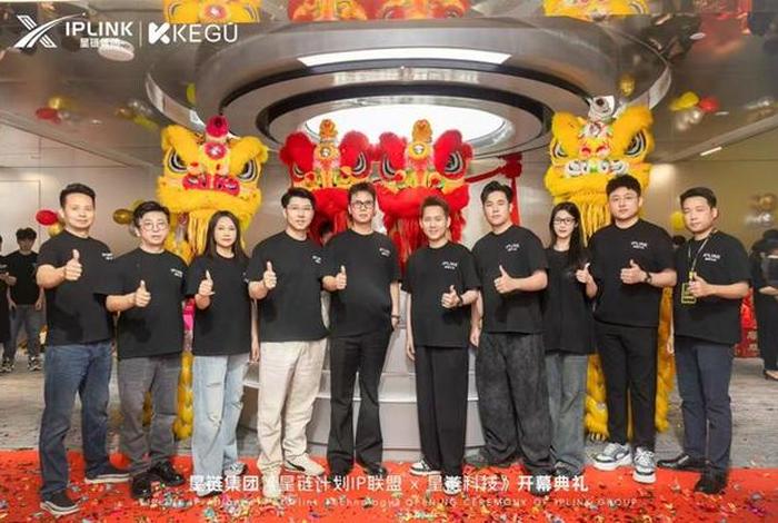 星链电商公司,星链电子商务有限公司怎么样 星链电商公司,星链电子商务有限公司怎么样