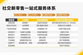 电商代运营模式（电商代运营模式需要什么）