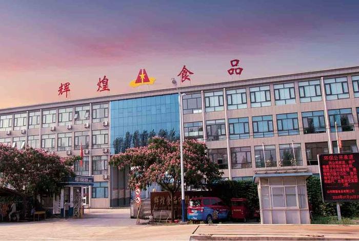 辉煌网络科技公司;辉煌网络科技公司简介 辉煌网络科技公司;辉煌网络科技公司简介