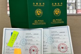 全域兴趣电商经营认证、全域电商运营