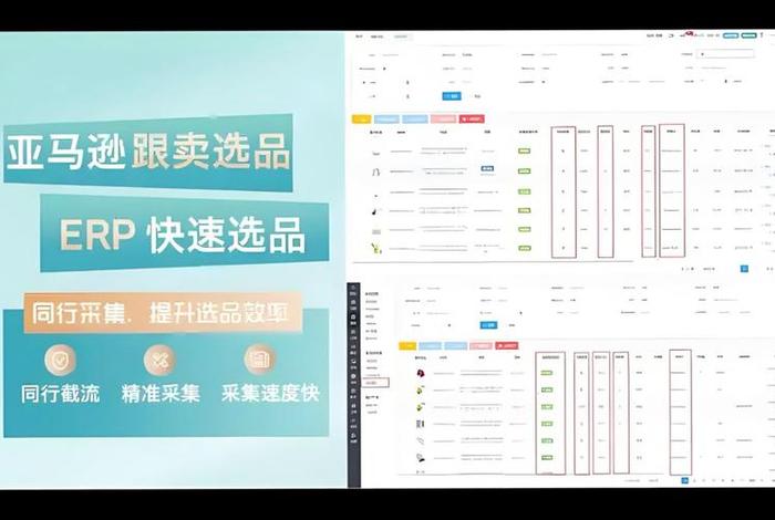 亚马逊erp软件 亚马逊卖家使用最多的erp软件 亚马逊erp软件 亚马逊卖家使用最多的erp软件