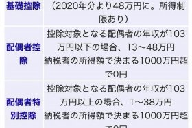 日本跨境电商税收政策（日本跨境电商税收政策研究）