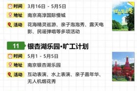 南京电商活动 南京电商活动时间表