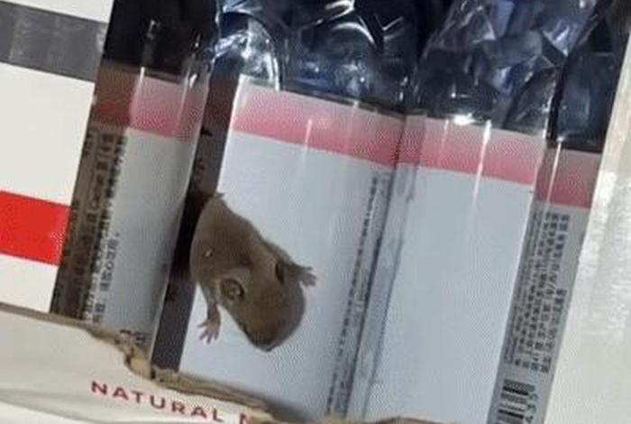 矿泉水出现老鼠;网购矿泉水出现老鼠 矿泉水出现老鼠;网购矿泉水出现老鼠