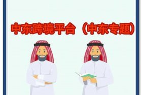 中东电商平台排名，中东电商平台排名榜