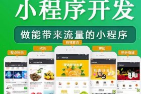 小电商家小程序，小电商家小程序有哪些