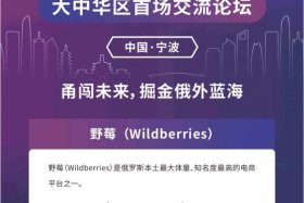 俄罗斯电商平台wb官网入口，俄罗斯本地电商平台