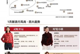 服饰电商行业现状（服饰电商行业现状调查）