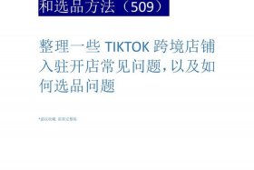 tk跨境电商怎么入驻平台，tiktok跨境电商怎么做
