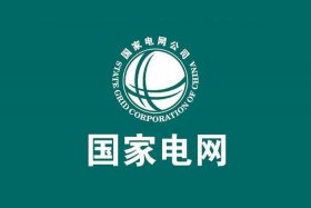 国家电网电商平台中标（国家电网电商平台中标厂家）