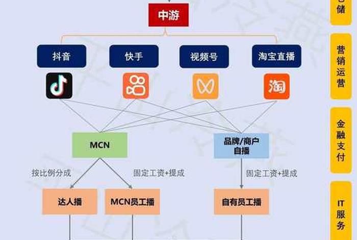 直播电商的概念、直播电商的概念和特点