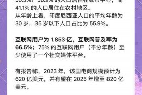 印尼电商恢复了吗 - 印尼电商恢复了吗现在