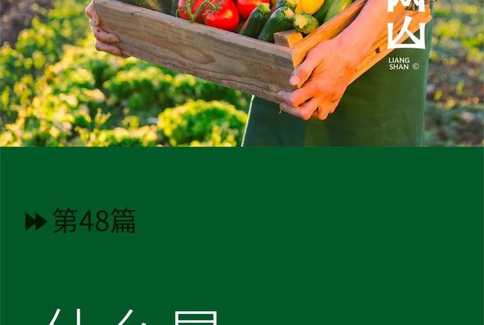 电商农业供应链，电商农业供应链是什么