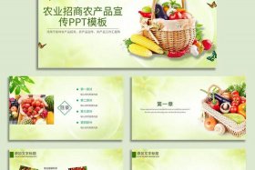 电商农产品首图详情页模板 农产品电商ppt模板