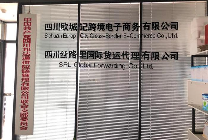 电商出口公司、电商出口公司名称