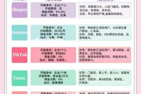 三大跨境电商平台对比 - 三大跨境电商平台对比图