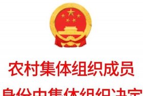 什么叫农村集体经济组织 什么叫农村集体经济组织和村委员会